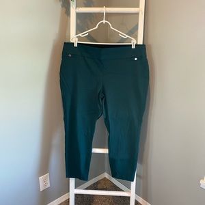 Women’s Plus Size pull on Dressy Jeggings